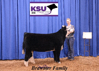 2013 KS AGR Foundation Simmental Ring B Res Champ Bailey Brawmer 0436_5x7